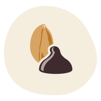 Dark Chocolate Chip Peanut Butter